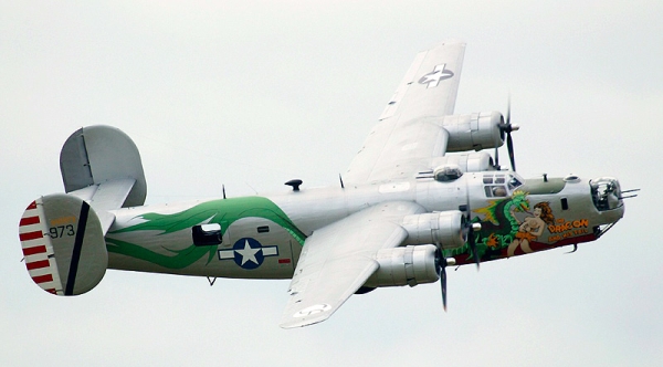 B24 Dragon and its tail